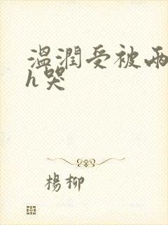 温润受被两个攻h哭封面