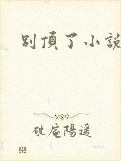 别顶了小说