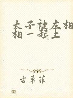 太子被左相和右相一起上