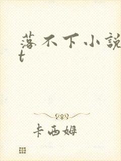 落不下小说txt
