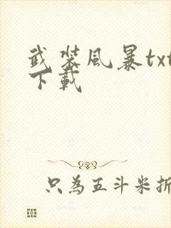 武装风暴txt下载