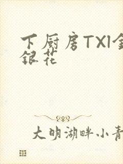 下厨房TXl金银花