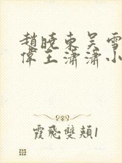 赵晓东吴雪晴郑伟王潇潇小说名字