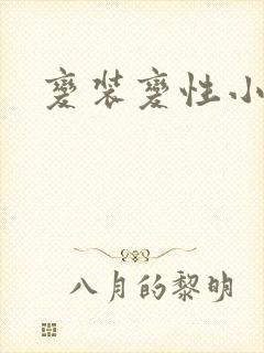 变装变性小说