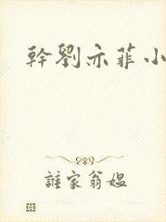 干刘亦菲小说封面