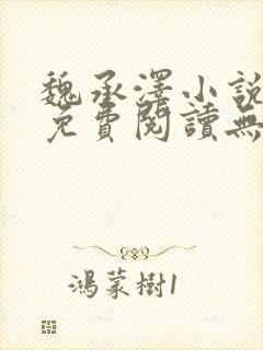 魏承泽小说全文免费阅读无弹窗笔趣封面