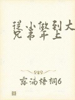 从小做到大骨科兄弟年上