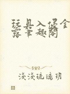 玩具入侵金银花露笔趣阁