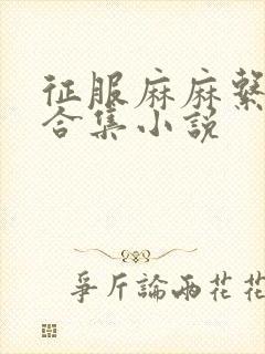 征服麻麻系列大合集小说