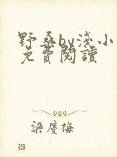 野桑by浅小说免费阅读