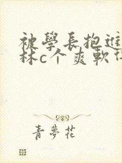 被学长抱进小树林c个爽软件封面