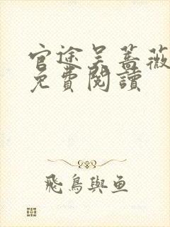 官途吴蔷薇全文免费阅读封面