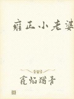 雍正小老婆封面