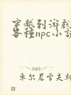 穿越到游戏里和各种npc小说