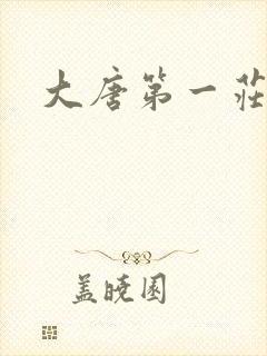 大唐第一庄