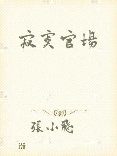 寂寞官场