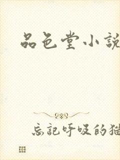 品色堂小说封面