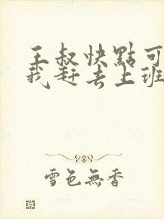 王叔快点可以吗我赶去上班