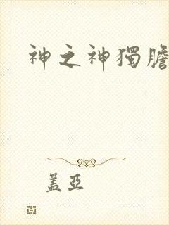 神之神独胆王封面