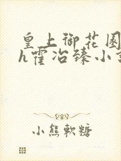 皇上御花园hlh霍冶臻小说封面