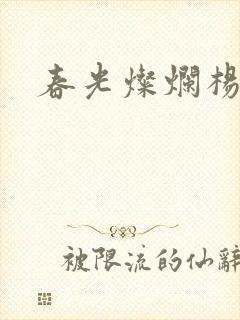 春光灿烂杨家将