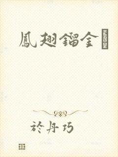 凤翅镏金镋封面