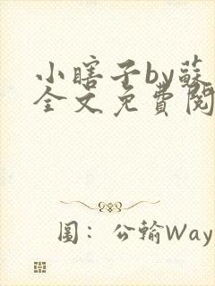 小瞎子by苏软全文免费阅读