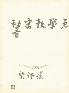 秘密教学免费观看封面