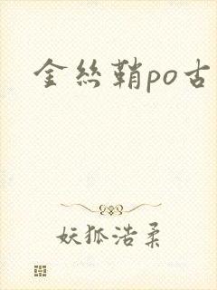 金丝鞘po古言封面
