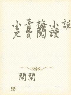 小青梅小说全文免费阅读