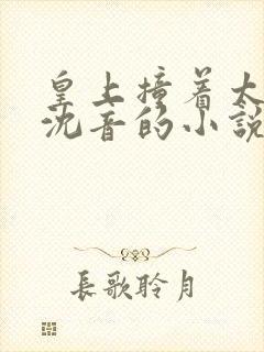 皇上撞着太子妃沈音的小说叫什么