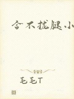 合不拢腿小说