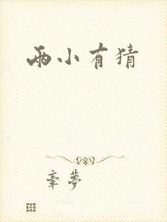 两小有猜