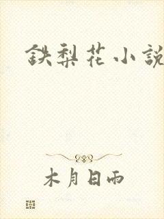 铁梨花小说