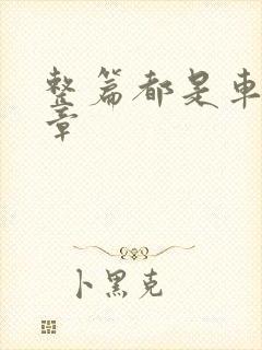 整篇都是车的文章