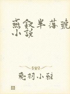 燕钗半落琥珀糖小说