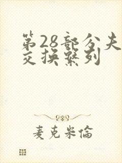 第28部分夫妇交换系列封面