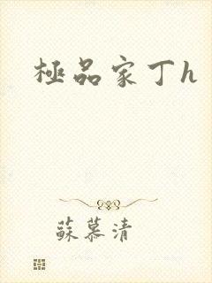 极品家丁h