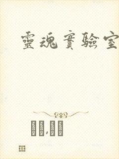 灵魂实验室封面