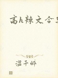 高h辣文合集