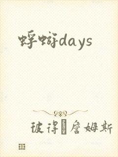 蜉蝣days封面