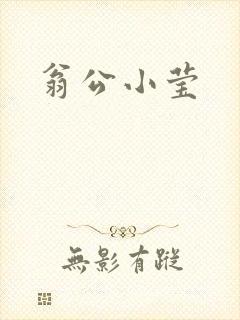 翁公小莹封面