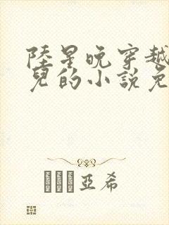 陆星晚穿越成婴儿的小说免费阅读全文