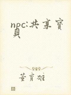 npc:共享宝贝