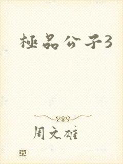 极品公子3