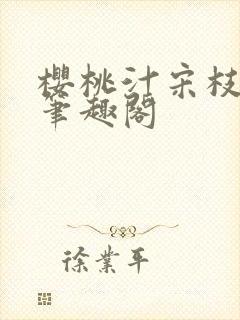 樱桃汁宋枝江野笔趣阁