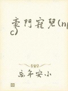 豪门宠儿(npc)