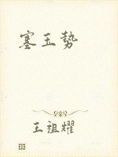 塞玉势封面
