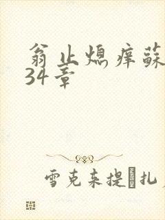 翁止熄痒苏钥第34章封面