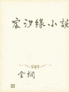 宸汐缘小说